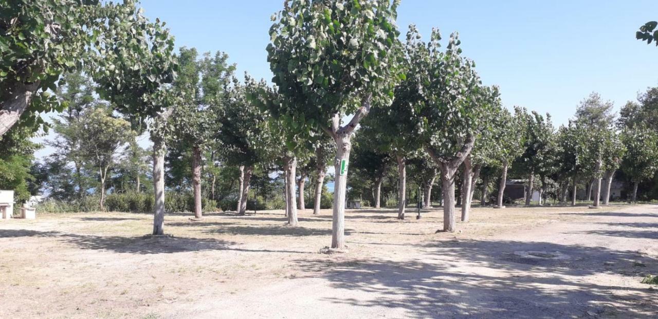 Camping Torre Mucchia Ortona Eksteriør billede